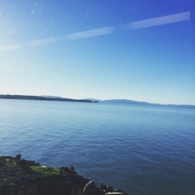 Profile Picture of Brian Colker (@BrianColker) on Twitter