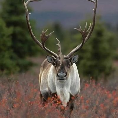 Profile Picture of Simo Marc (@SimoMarc2) on Twitter