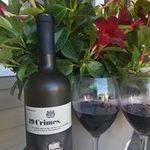 Profile Picture of Debbie Pfrimmer (@allaboutdax) on Instagram