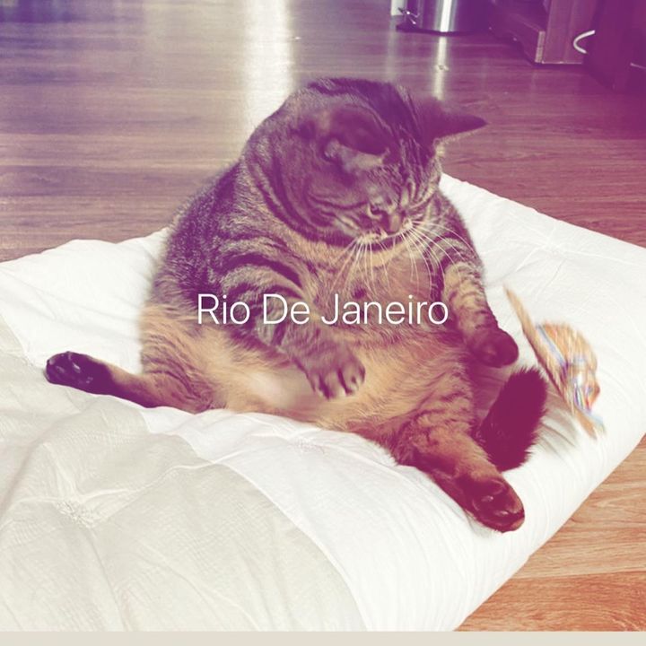 Profile Picture of hal (@user826826370) on Tiktok