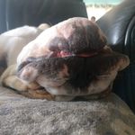 Profile Picture of Darick Ricketts (@darick.ricketts) on Instagram