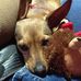 Profile Picture of Lucy Vaughn (@lucy.vaughn.370) on Facebook