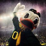 Profile Picture of Kathy Hogue (@greenduckfan) on Instagram