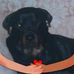 Profile Picture of Barry Kendall (@barry.kendall.5055) on Facebook