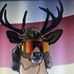 Profile Picture of Max Hershman (@max.hershman.5) on Facebook
