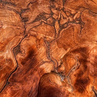 Profile Picture of Jessie Goins (@GoinsAnne) on Twitter