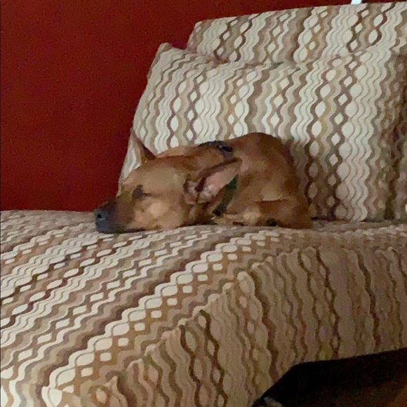 Profile Picture of Julie Rorabaugh (@julesrora1) on Poshmark