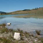 Profile Picture of Berrythompson (@berry_thompson53) on Instagram