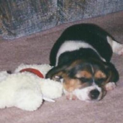 Profile Picture of Debra Jeffrey (@@DebraJeffrey) on Twitter