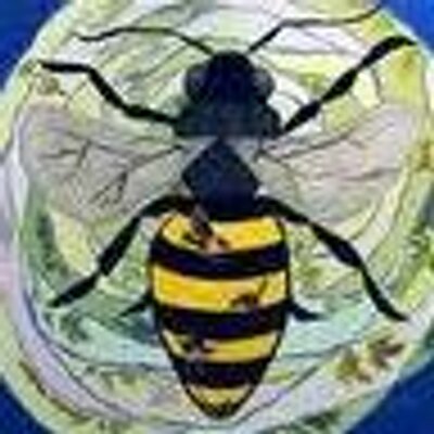 Profile Picture of Lisa Forsberg (@librarybees) on Twitter