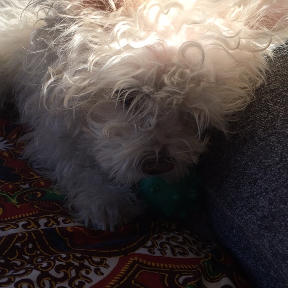 Profile Picture of Tiki Pasillas (@tikiposh) on Poshmark