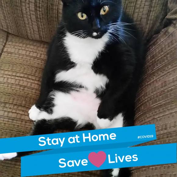 Kathy Birman - Poshmark Profile Picture of Kathy Birman (@birmks1) on Poshmark