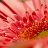Profile Picture of Neeraj Mishra (@mishrank24) on Flickr