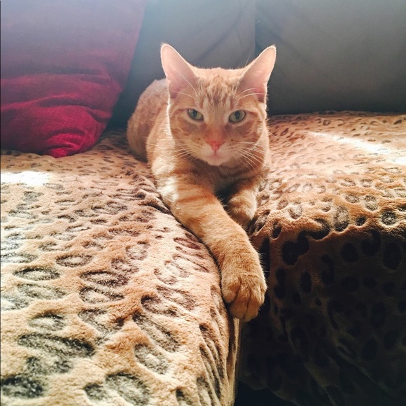 Profile Picture of Bianca Hurtado (@bhurtado0307) on Poshmark