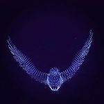 Profile Picture of mahmood.karimi (@mahmood.karimi96) on Instagram