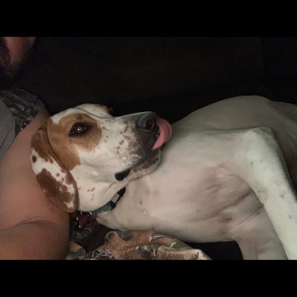 Profile Picture of Steve Duhon (@duhonsr) on Poshmark