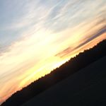 Profile Picture of Jasmine Kittrell (@dog_owner_forever) on Instagram