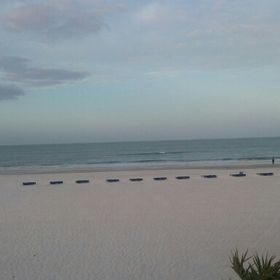 Profile Picture of Chanel Simon (@chanelnomis) on Pinterest