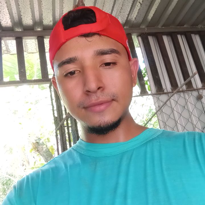Profile Picture of Daniel Ferman (@daniel.ferman13) on Tiktok