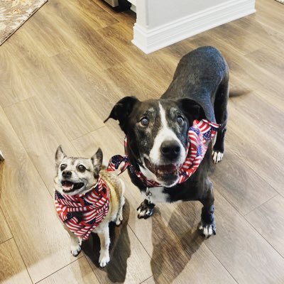 Profile Picture of Alice Zaganczyk Peterson (@AliceZaganczyk) on Twitter