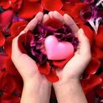 Profile Picture of Tasaduq Lone (@tasaduql) on Instagram