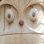 Profile Picture of Nedsolo (@nedsolo) on Flickr