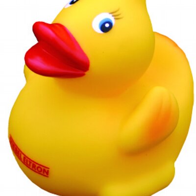 Profile Picture of Julius Goodman (@StiebelUSA) on Twitter