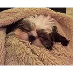 Profile Picture of paula_henryp (@paula_henryp) on Instagram