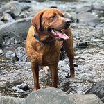 Profile Picture of Mark Snead (@marksnead) on Instagram