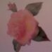 Profile Picture of Rosemary Decker (@rosemary.decker.75) on Facebook