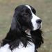 Profile Picture of Ruth Dehmel (@ruthdehmel) on Pinterest