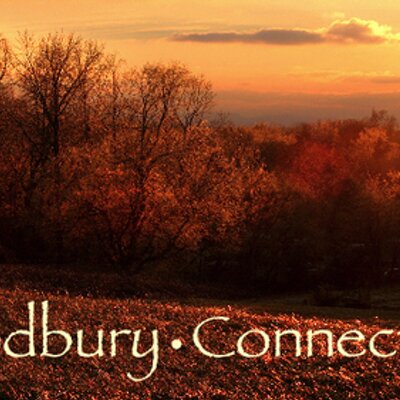 Profile Picture of Claudia Chapman (@TownOfWoodbury) on Twitter