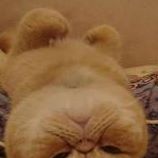 Profile Picture of Andy Du (@andy.du.771) on Facebook