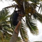 Josh Thomsen - Instagram Profile Picture of Josh Thomsen (@tallenky) on Instagram