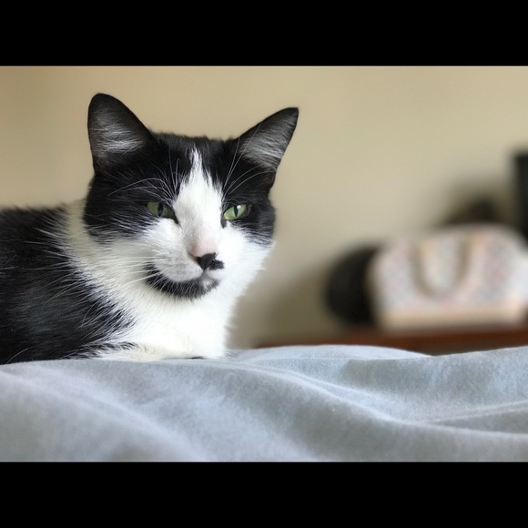 Profile Picture of Natalia Prorok (@n_prorok3) on Poshmark