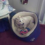 Profile Picture of James Rackley (@rackley.james) on Instagram