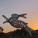 Profile Picture of Joanne Lewman (@mainekoon) on Pinterest