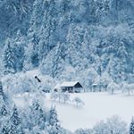 Alex delacroix - Instagram Profile Picture of Alex delacroix (@delacroix_alex) on Instagram