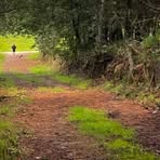 Profile Picture of Colleen Streich (@colleenstreich668670057) on Facebook