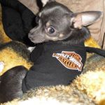 Profile Picture of LeeAnne Werning Jacobson (@leeanne.jacobson) on Instagram