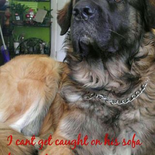 Profile Picture of Bubba McDonald (@bubba.mcdonald.16) on Facebook