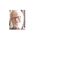 Profile Picture of Marc Valois (@Marc-Valois) on Facebook
