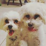 Profile Picture of Heather_Markuson_Lesley (@heather_markuson_lesley) on Instagram
