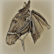 Eustance Pack And Tack Outfitters - Youtube Profile Picture of Eustance Pack And Tack Outfitters (@MTwildguides) on Youtube