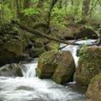 Profile Picture of Misha Gupta (@misha-gupta-3) on Quora