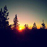 Jeff Gosling - Instagram Profile Picture of Jeff Gosling (@8665jefe) on Instagram