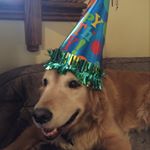 Profile Picture of Grace Colbert (@dancinggrace12) on Instagram