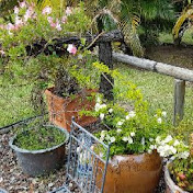 Chris Ralph - Youtube Profile Picture of Chris Ralph (@chrisralph3764) on Youtube