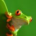 Profile Picture of Marcus Bridge (@marcus.bridge.562) on Facebook