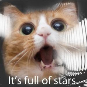 Profile Picture of Kyle Mcclelland (@123501651) on Myspace